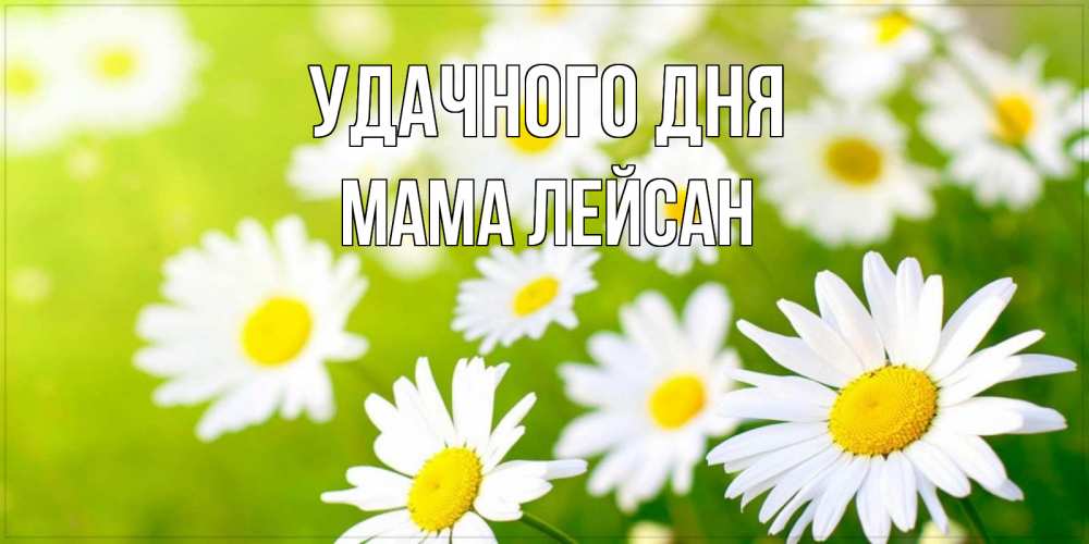Открытка на каждый день с именем, Мама-Лейсан Удачного дня открытка с ромашками на зеленом фоне Прикольная открытка с пожеланием онлайн скачать бесплатно 