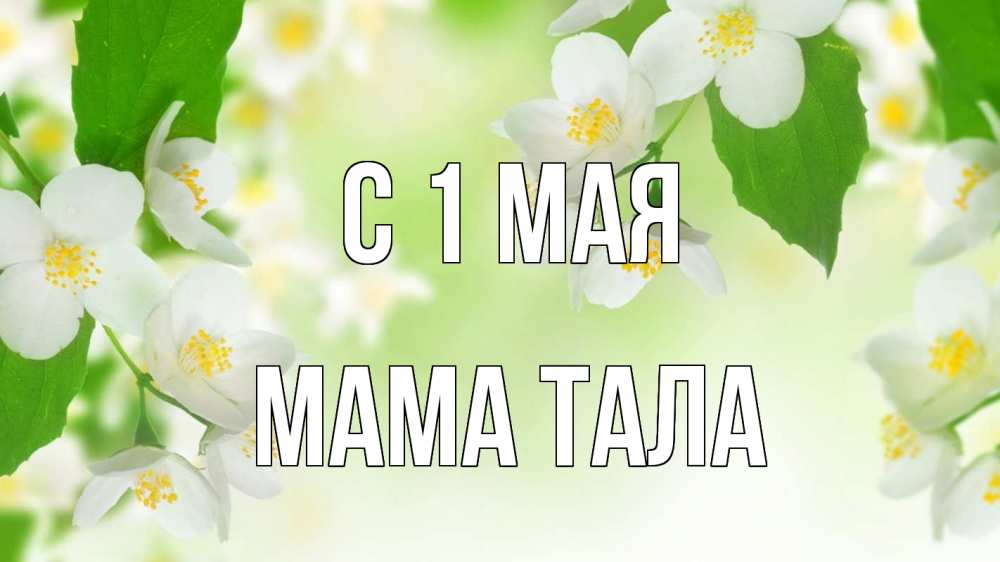 Открытка на каждый день с именем, Мама-Тала С 1 мая С 1 мая Прикольная открытка с пожеланием онлайн скачать бесплатно 
