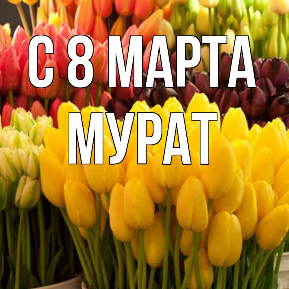 Открытка на каждый день с именем, Мурат С 8 марта цветы Прикольная открытка с пожеланием онлайн скачать бесплатно 