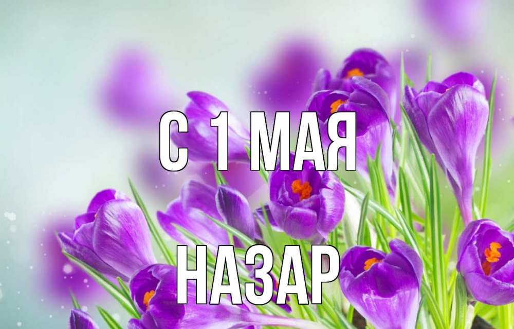 Открытка на каждый день с именем, Назар С 1 мая 1 мая Прикольная открытка с пожеланием онлайн скачать бесплатно 