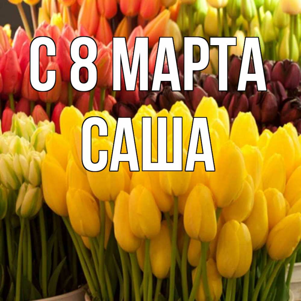 Открытка на каждый день с именем, Саша С 8 МАРТА цветы Прикольная открытка с пожеланием онлайн скачать бесплатно 