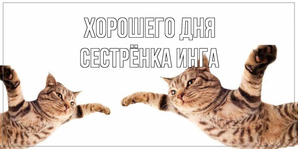 Открытка на каждый день с именем, Сестрёнка-Инга Хорошего дня хорошего дня Прикольная открытка с пожеланием онлайн скачать бесплатно 