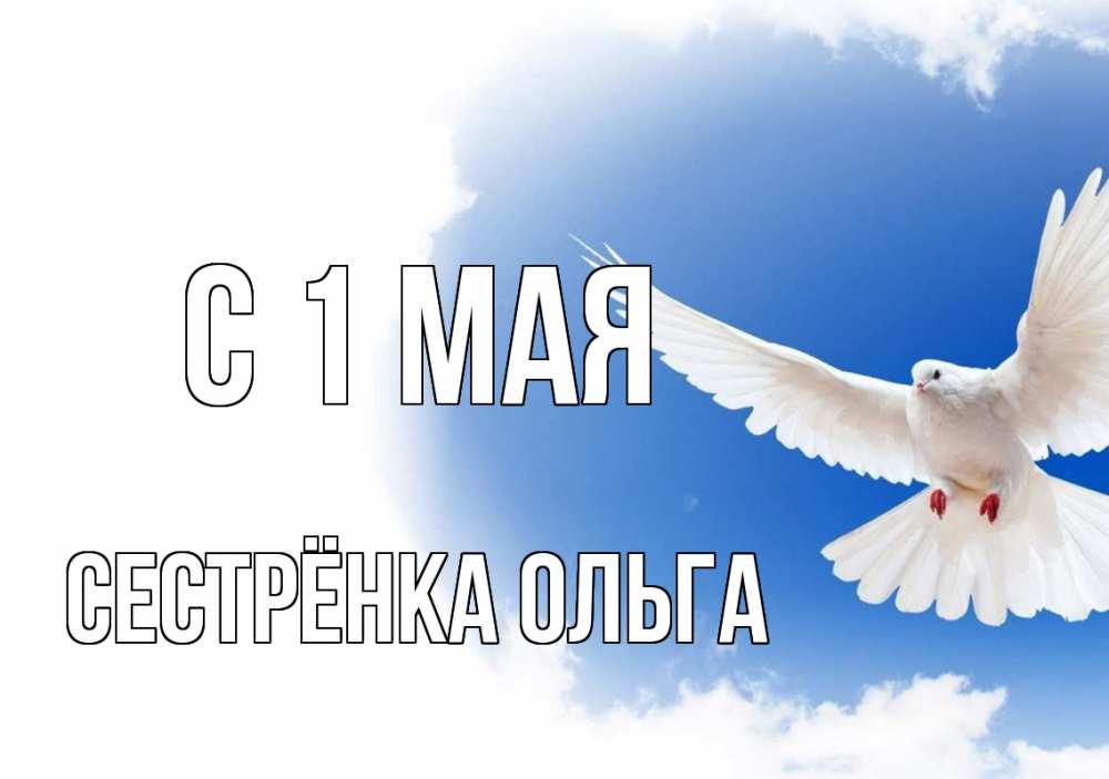 Открытка на каждый день с именем, Сестрёнка-Ольга С 1 мая С 1 мая Прикольная открытка с пожеланием онлайн скачать бесплатно 