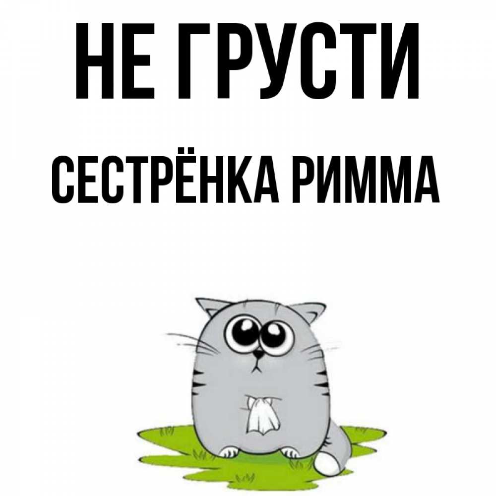 Открытка на каждый день с именем, Сестрёнка-Римма Не грусти грустный котяра Прикольная открытка с пожеланием онлайн скачать бесплатно 