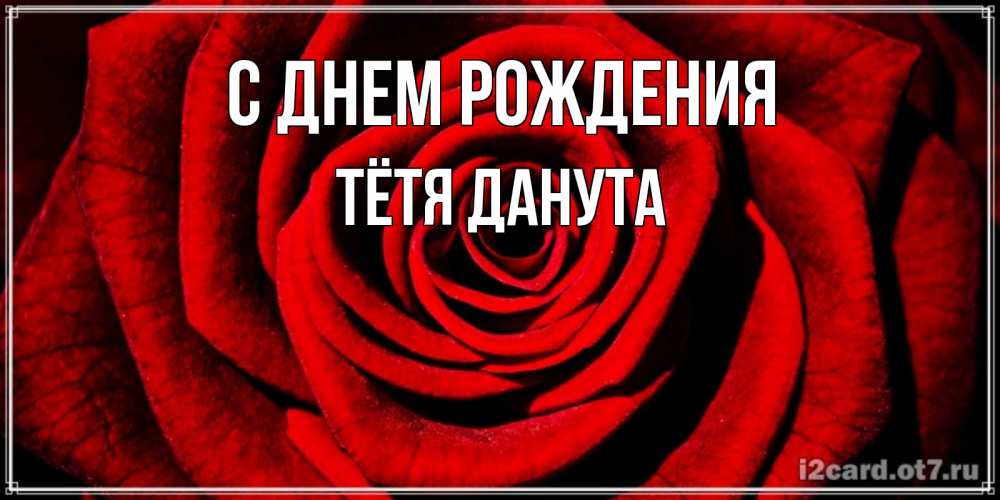 Открытка на каждый день с именем, Тётя-Данута С днем рождения алая роза Прикольная открытка с пожеланием онлайн скачать бесплатно 