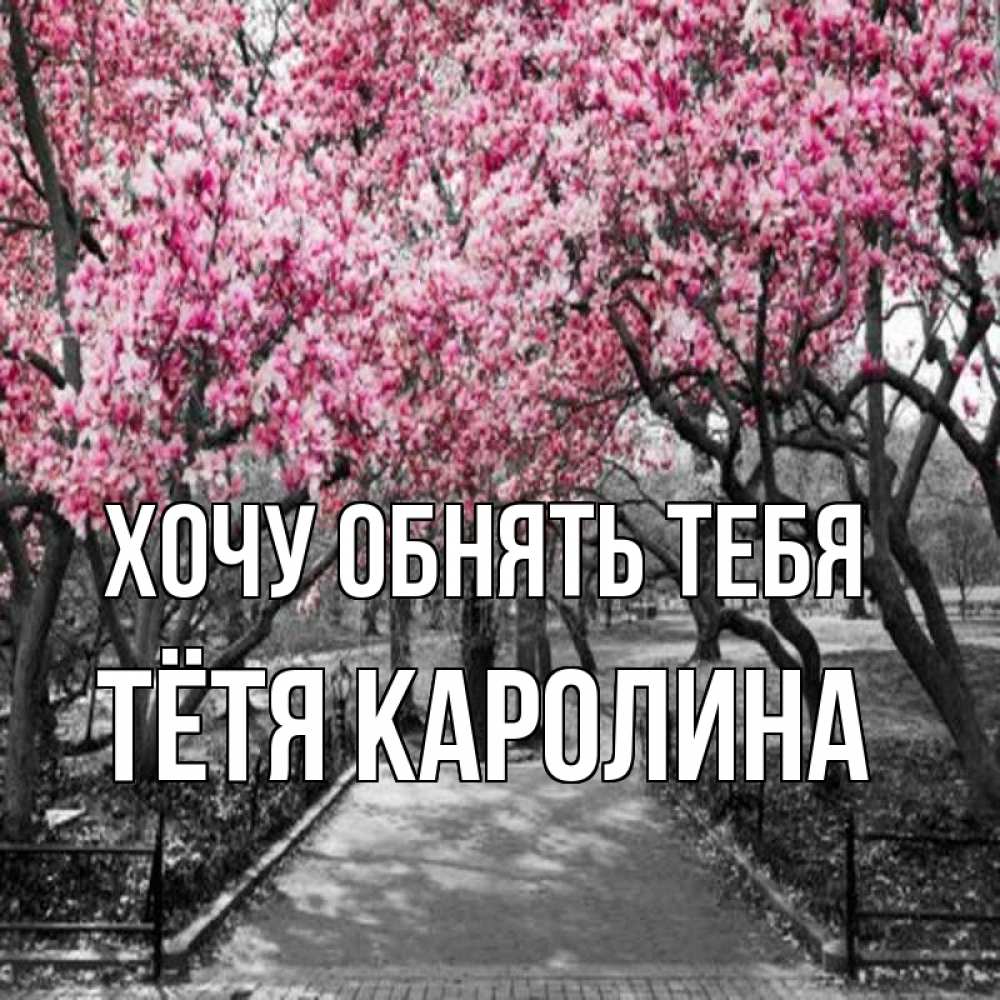 Открытка на каждый день с именем, Тётя-Каролина Хочу обнять тебя обработанное фото Прикольная открытка с пожеланием онлайн скачать бесплатно 