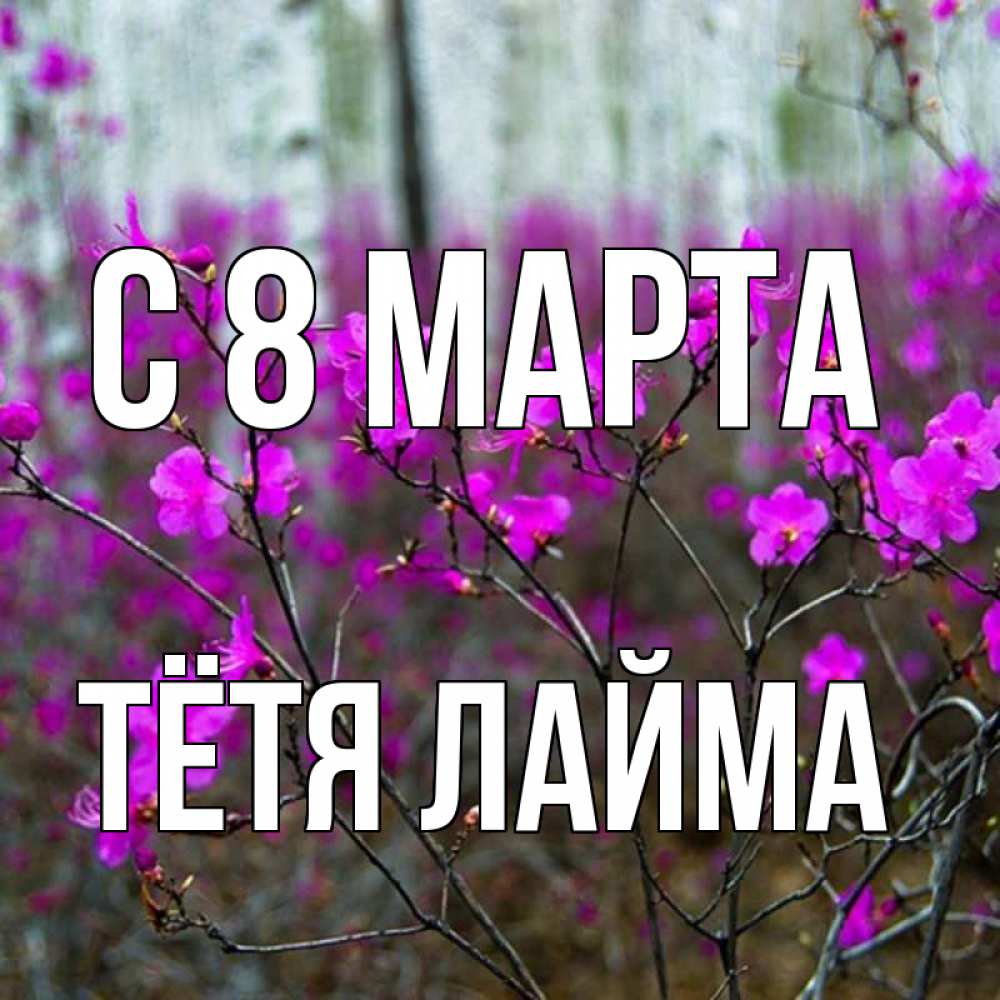 Открытка на каждый день с именем, Тётя-Лайма С 8 МАРТА дикие цветы Прикольная открытка с пожеланием онлайн скачать бесплатно 