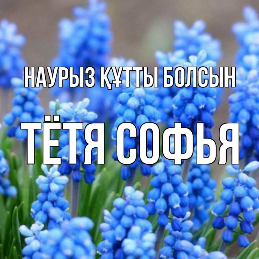 Открытка на каждый день с именем, Тётя-Софья Наурыз құтты болсын Поздравительная открытка для женщин с цветами на праздничную дату Прикольная открытка с пожеланием онлайн скачать бесплатно 