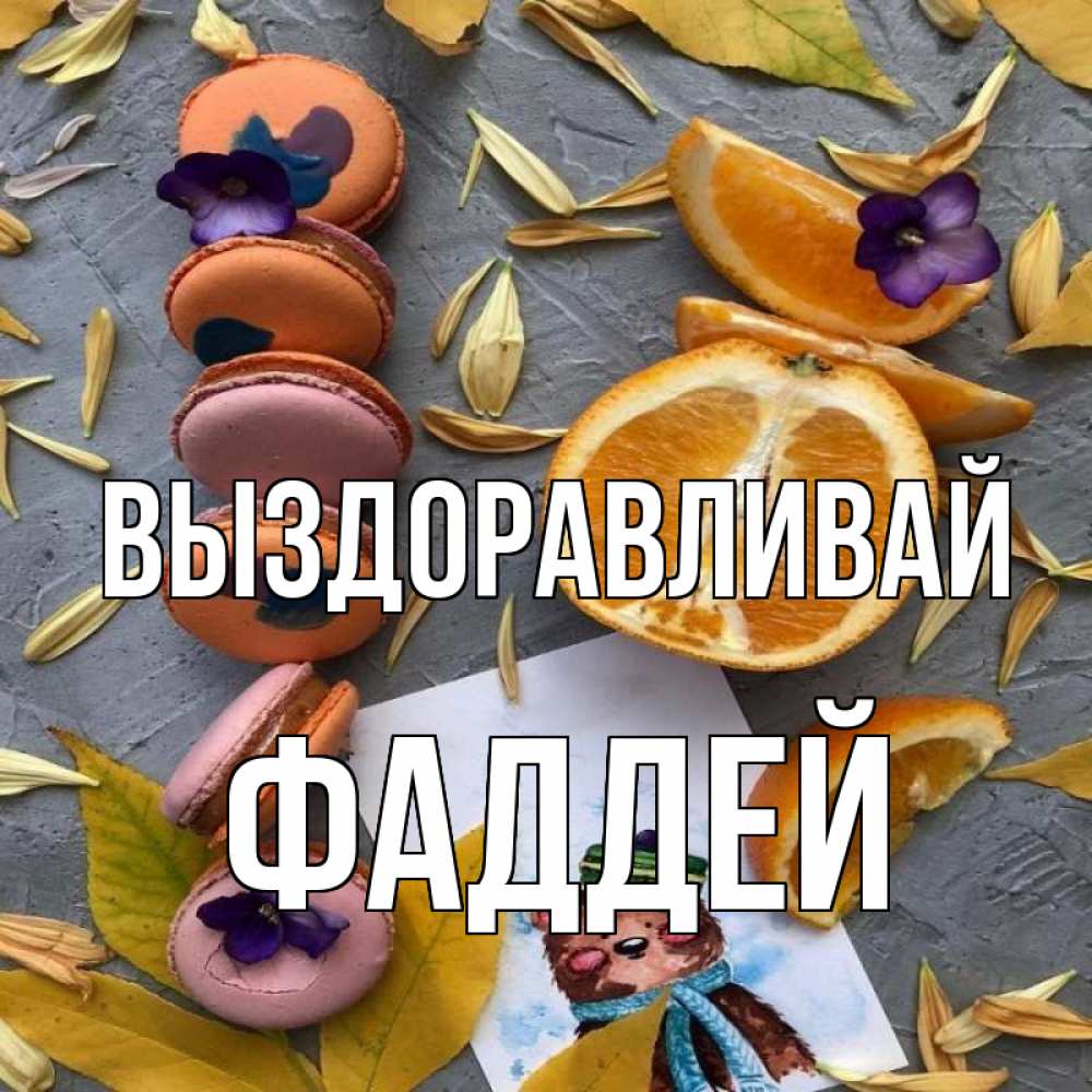 Открытка на каждый день с именем, Фаддей Выздоравливай не болейте Прикольная открытка с пожеланием онлайн скачать бесплатно 