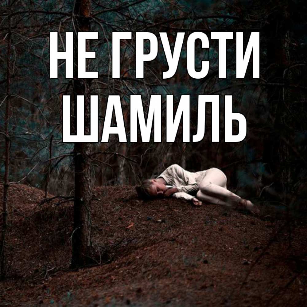 Открытка на каждый день с именем, Шамиль Не грусти лес Прикольная открытка с пожеланием онлайн скачать бесплатно 