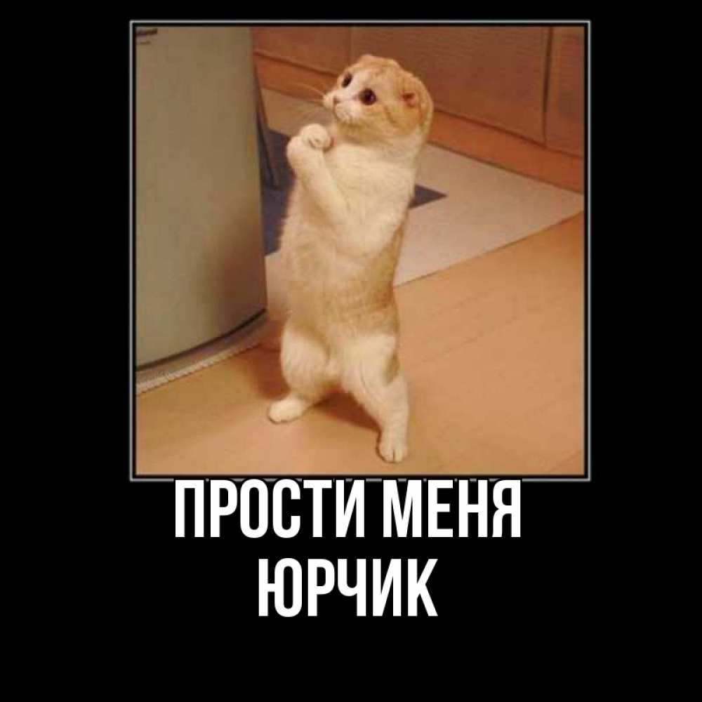 Открытка на каждый день с именем, Юрчик Прости меня открытка с милым несчастным котиком просящим прощения Прикольная открытка с пожеланием онлайн скачать бесплатно 