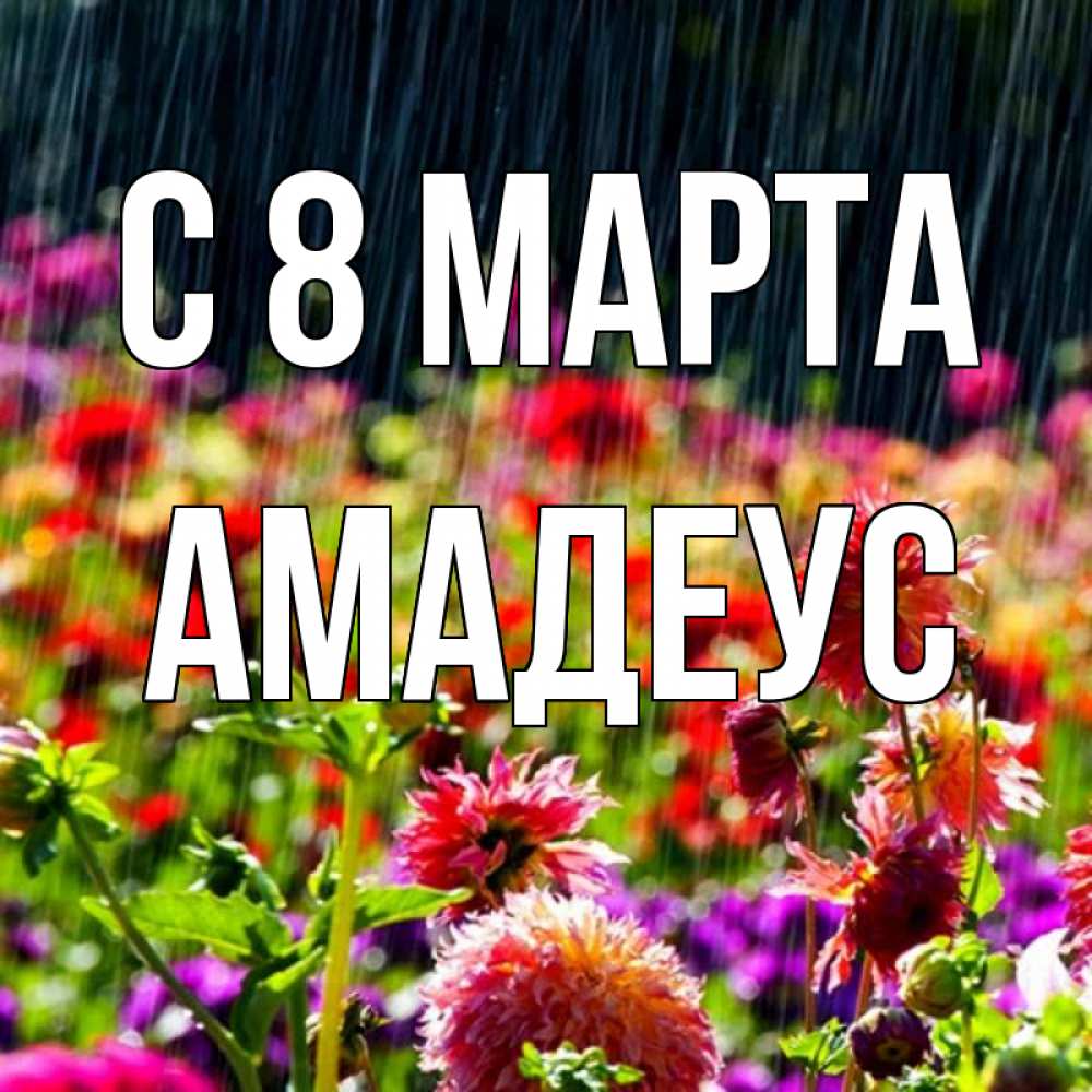 Открытка на каждый день с именем, Амадеус С 8 МАРТА цветы под дождиком к международному женскому дню Прикольная открытка с пожеланием онлайн скачать бесплатно 