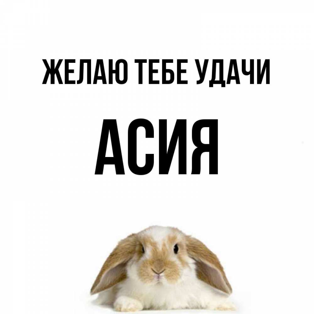 Открытка на каждый день с именем, Асия Желаю тебе удачи открытки с произвольным текстом который можно вставить в открытку и создать ее самостоятельно бесплатно онлайн Прикольная открытка с пожеланием онлайн скачать бесплатно 