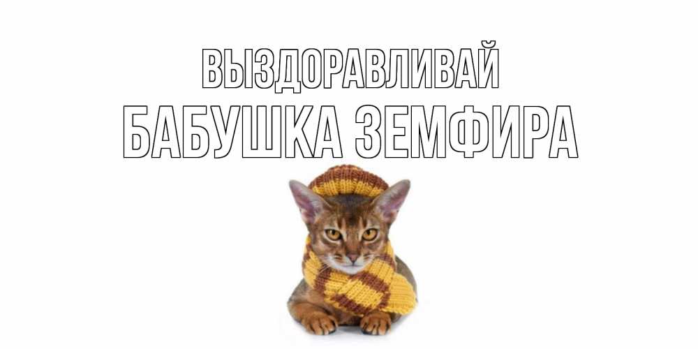 Открытка на каждый день с именем, Бабушка-Земфира Выздоравливай родные не болейте Прикольная открытка с пожеланием онлайн скачать бесплатно 