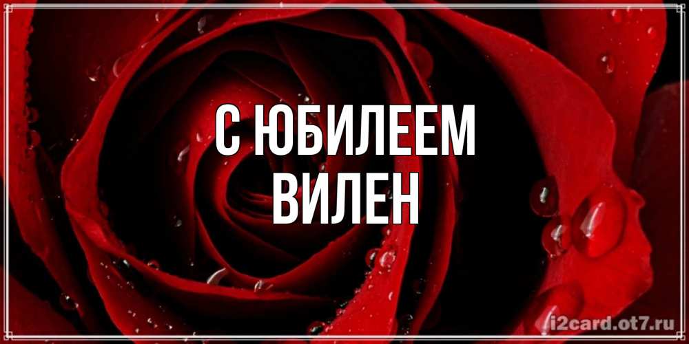 Открытка на каждый день с именем, Вилен С юбилеем крупная бордовая роза Прикольная открытка с пожеланием онлайн скачать бесплатно 
