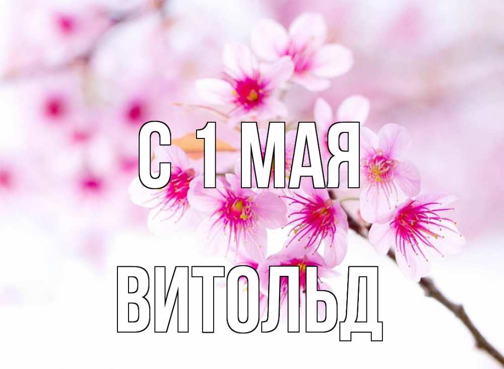 Открытка на каждый день с именем, Витольд С 1 мая С 1 мая 2 Прикольная открытка с пожеланием онлайн скачать бесплатно 