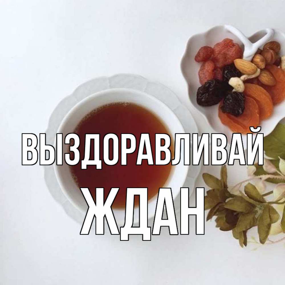 Открытка на каждый день с именем, Ждан Выздоравливай неизвестные растения Прикольная открытка с пожеланием онлайн скачать бесплатно 