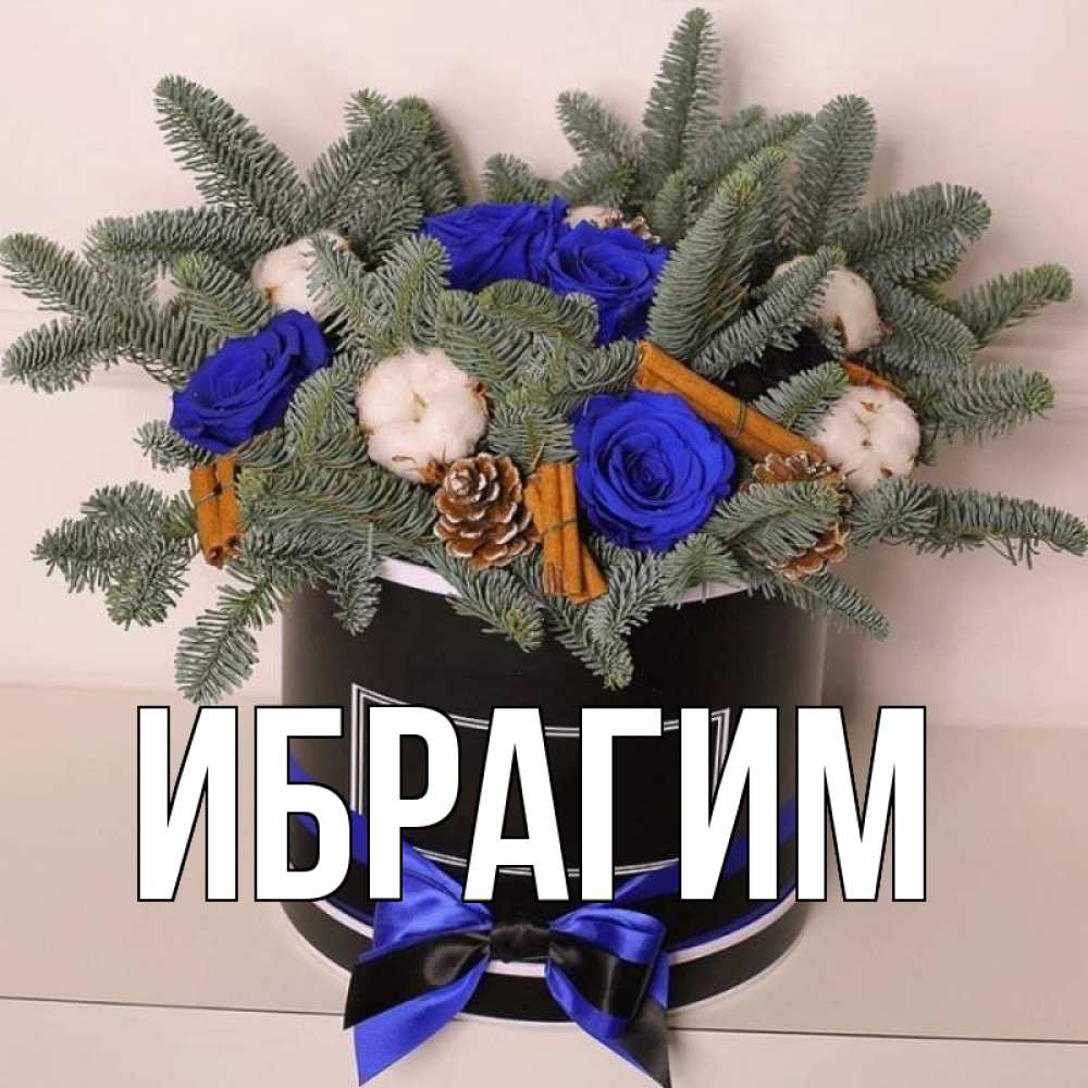 Открытка на каждый день с именем, Ибрагим Главная короче кто то загрузил эти шишки Прикольная открытка с пожеланием онлайн скачать бесплатно 