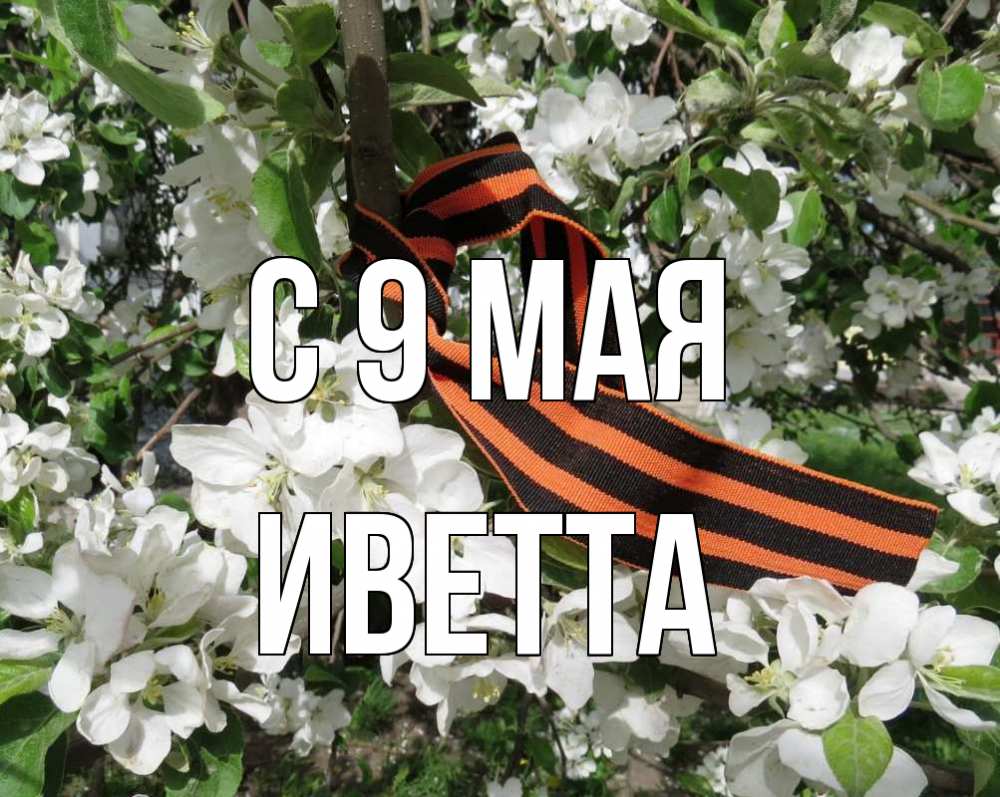 Открытка на каждый день с именем, Иветта С 9 мая 9 мая Прикольная открытка с пожеланием онлайн скачать бесплатно 