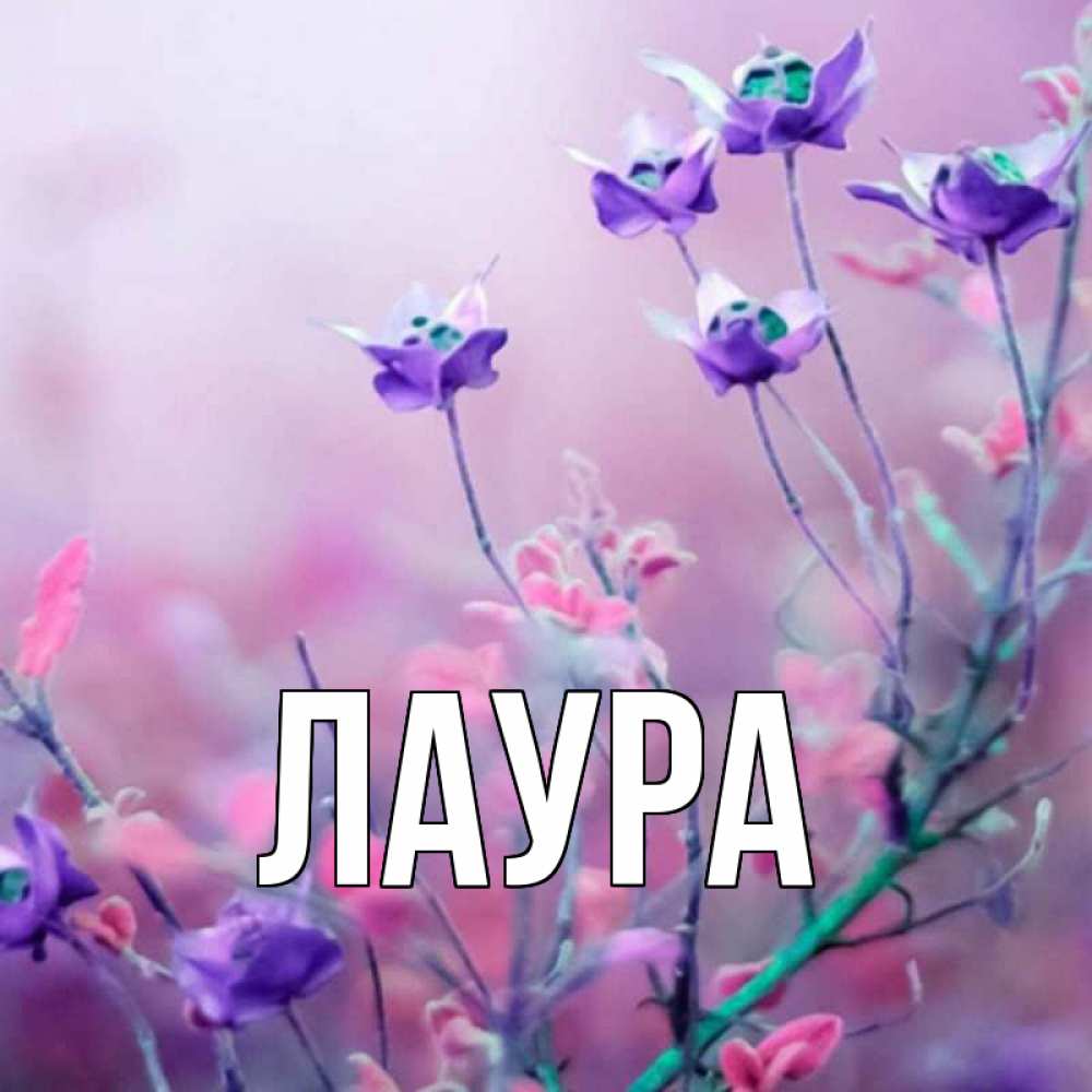 Открытка на каждый день с именем, Лаура Главная международный женский день 2 Прикольная открытка с пожеланием онлайн скачать бесплатно 