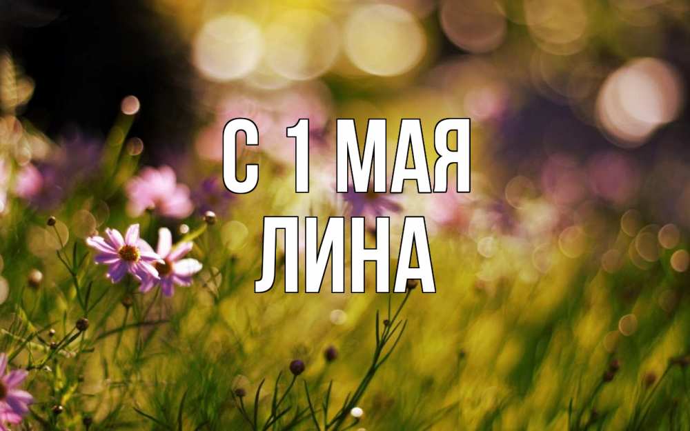 Открытка на каждый день с именем, Лина С 1 мая С 1 мая Прикольная открытка с пожеланием онлайн скачать бесплатно 