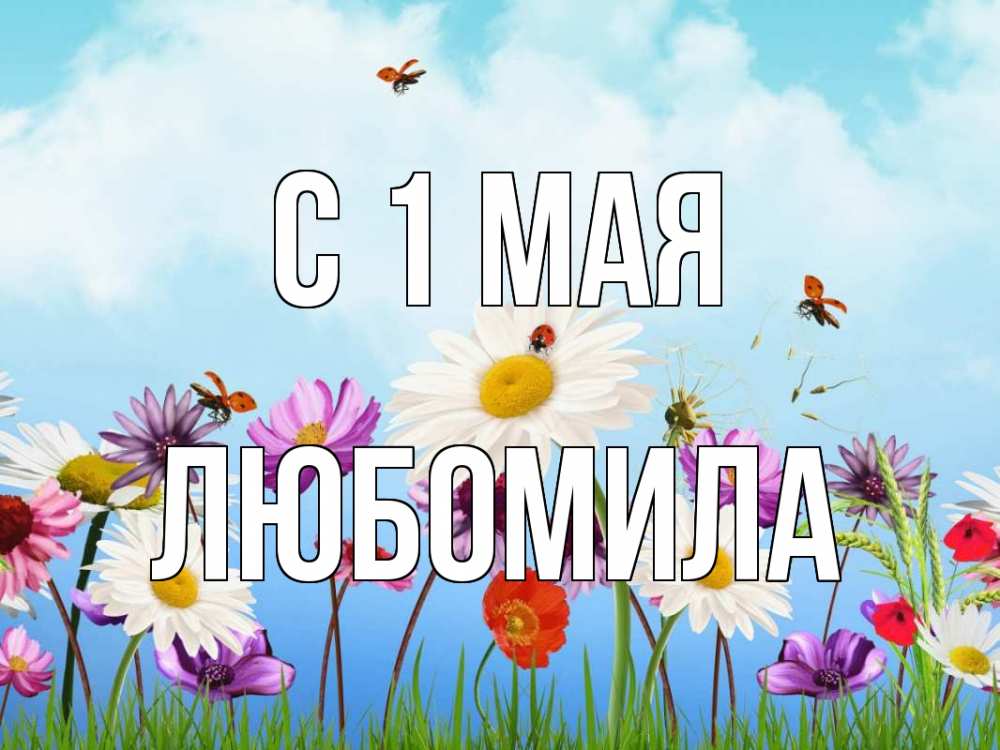 Открытка на каждый день с именем, Любомила С 1 мая С 1 мая Прикольная открытка с пожеланием онлайн скачать бесплатно 