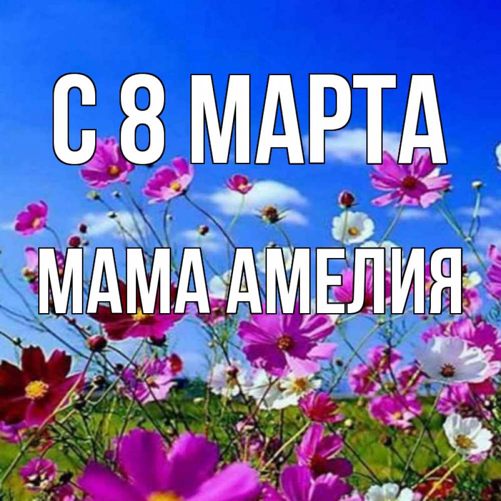 Открытка на каждый день с именем, Мама-Амелия С 8 МАРТА цветы Прикольная открытка с пожеланием онлайн скачать бесплатно 