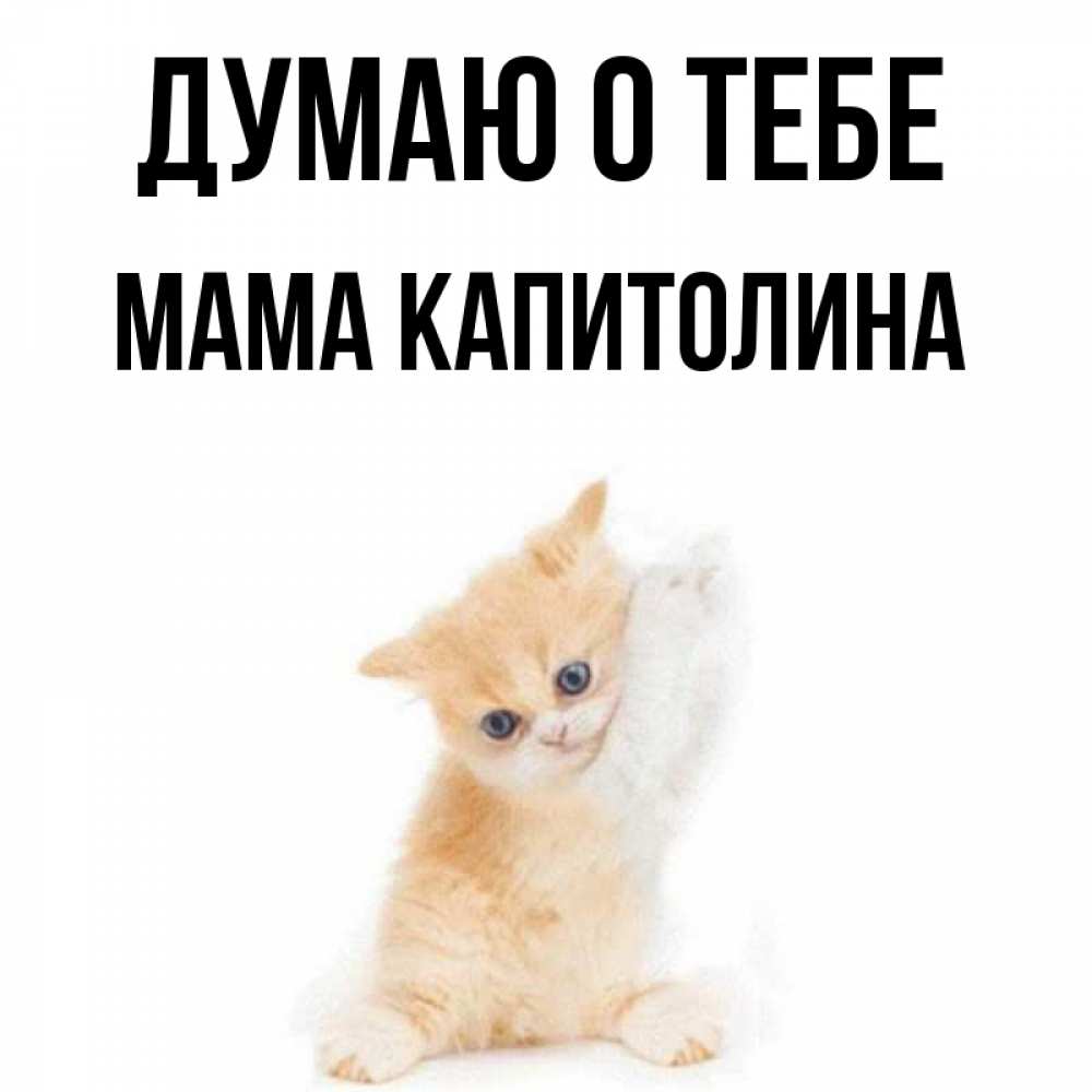 Открытка на каждый день с именем, Мама-Капитолина Думаю о тебе зверушки и милота Прикольная открытка с пожеланием онлайн скачать бесплатно 