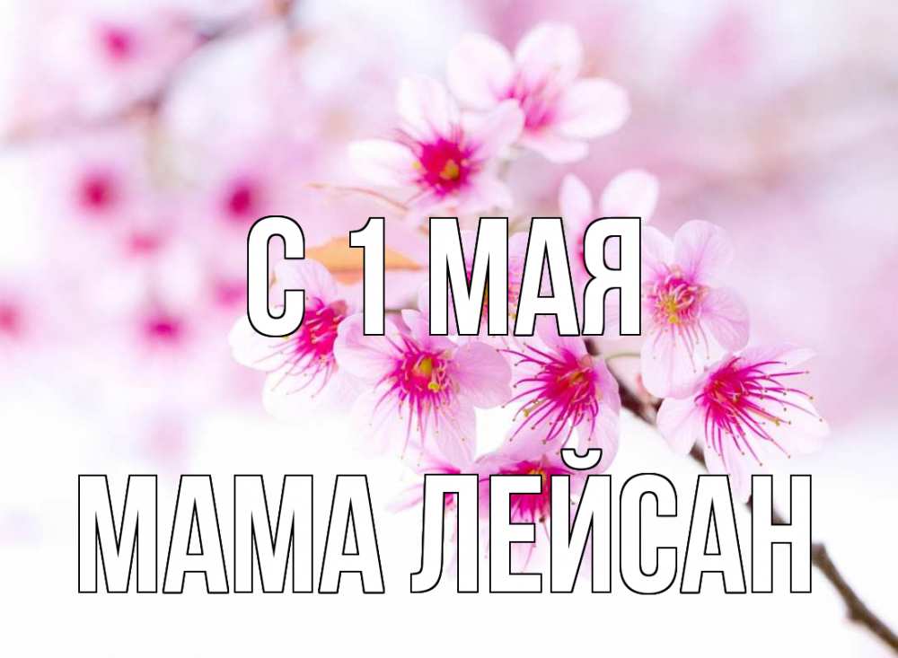 Открытка на каждый день с именем, Мама-Лейсан С 1 мая С 1 мая 2 Прикольная открытка с пожеланием онлайн скачать бесплатно 