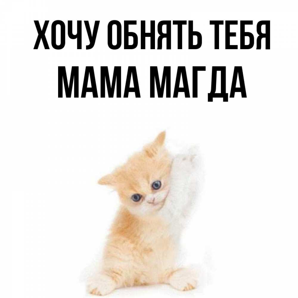 Открытка на каждый день с именем, Мама-Магда Хочу обнять тебя я хочу очень скорее обнимаешек Прикольная открытка с пожеланием онлайн скачать бесплатно 