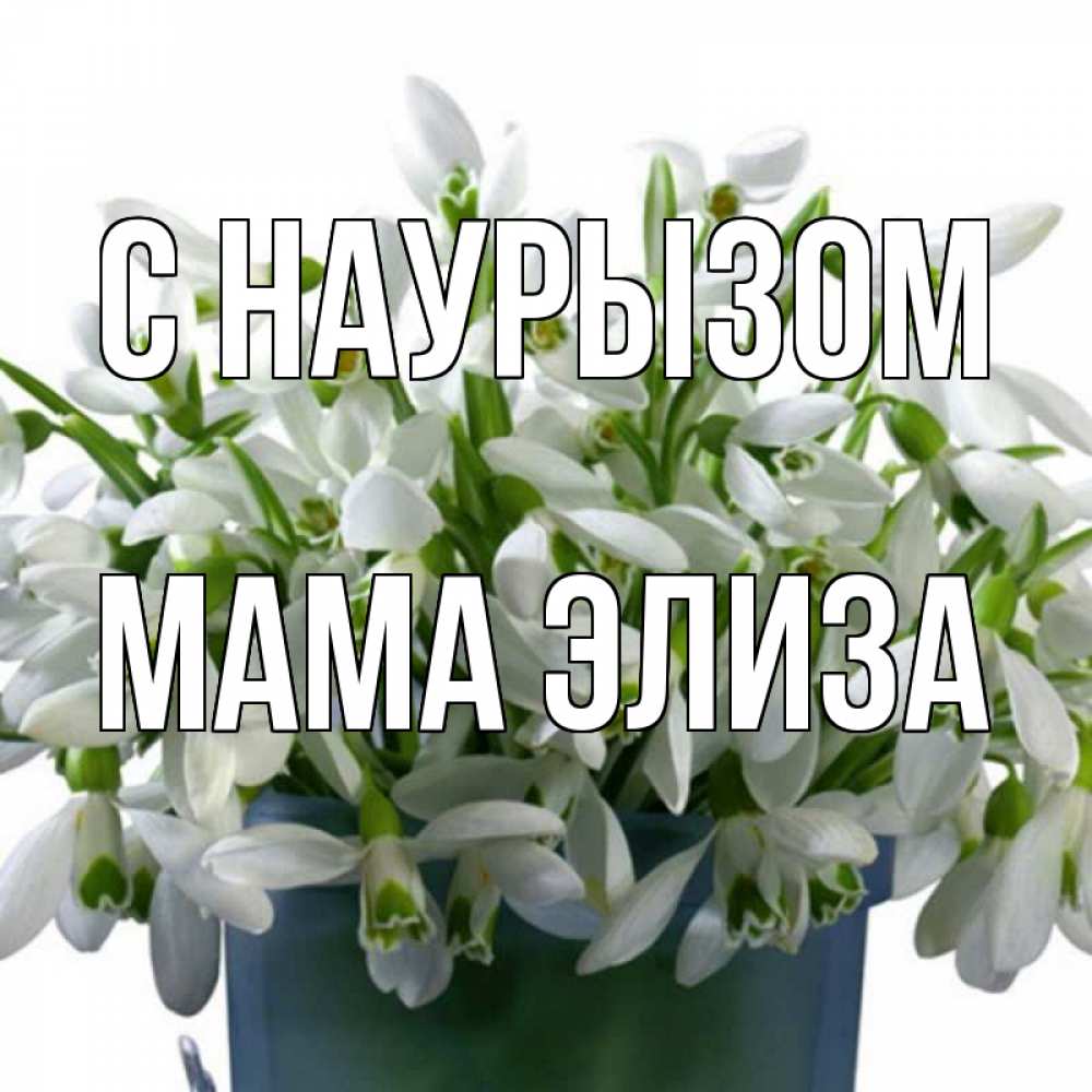 Открытка на каждый день с именем, Мама-Элиза С наурызом цветы к наурызу новый год в Казахстане Прикольная открытка с пожеланием онлайн скачать бесплатно 