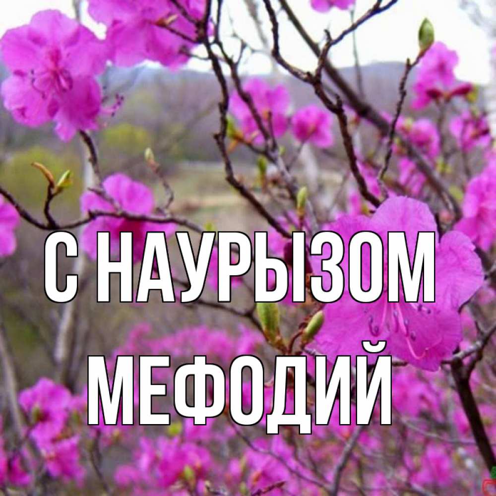 Открытка на каждый день с именем, Мефодий С наурызом праздник весны наурыз Прикольная открытка с пожеланием онлайн скачать бесплатно 