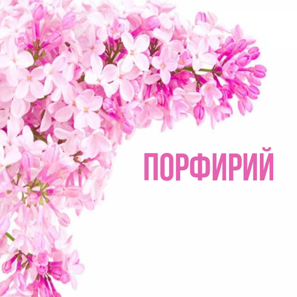 Открытки С Днем Рождения Женщине Шурочка