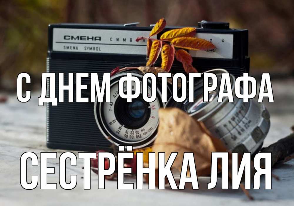 Открытка на каждый день с именем, Сестрёнка-Лия С днем фотографа с днем фотографа Прикольная открытка с пожеланием онлайн скачать бесплатно 