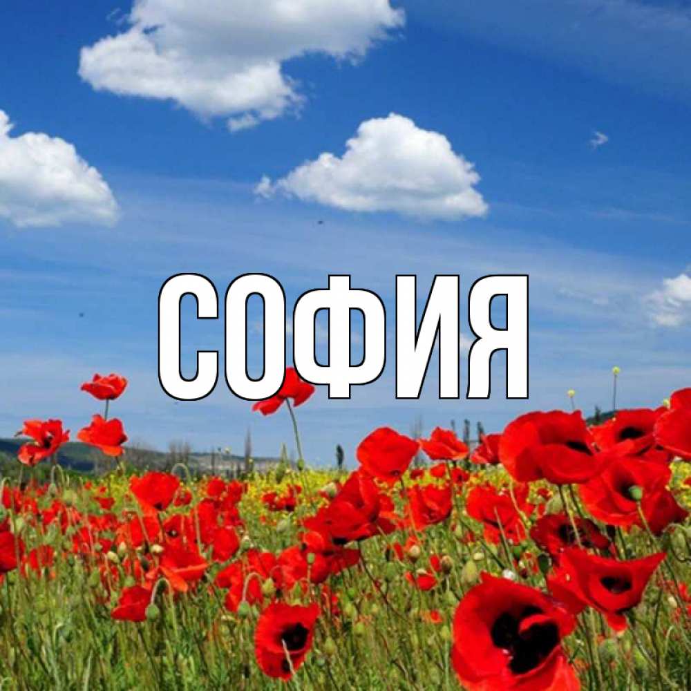 Открытка на каждый день с именем, София Главная праздник весны наурыз очень красивая картинка Прикольная открытка с пожеланием онлайн скачать бесплатно 