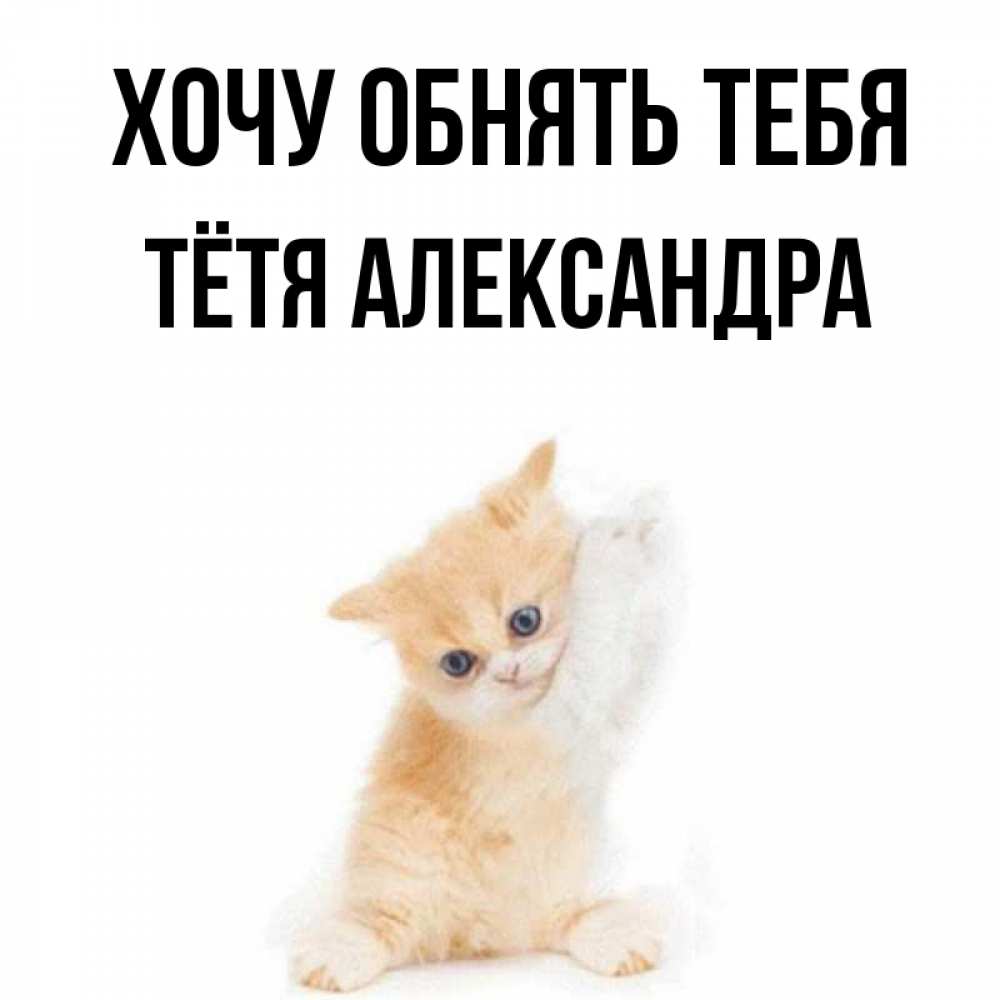 Открытка на каждый день с именем, Тётя-Александра Хочу обнять тебя я хочу очень скорее обнимаешек Прикольная открытка с пожеланием онлайн скачать бесплатно 