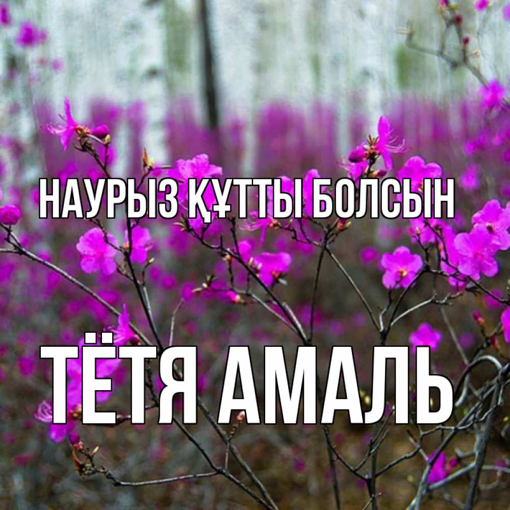 Открытка на каждый день с именем, Тётя-Амаль Наурыз құтты болсын дикие цветы Прикольная открытка с пожеланием онлайн скачать бесплатно 