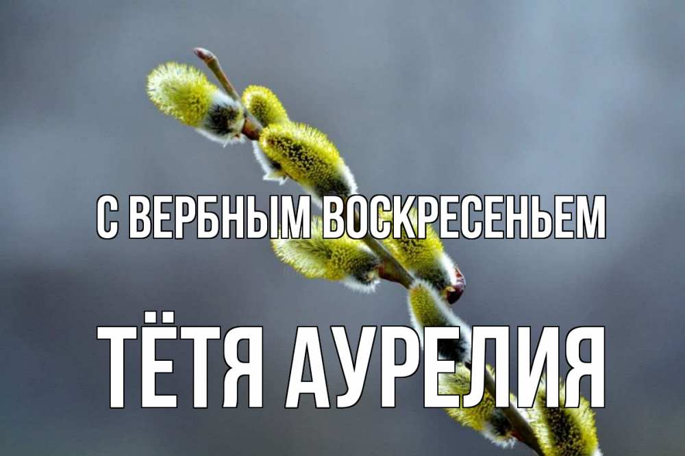 Открытка на каждый день с именем, Тётя-Аурелия С вербным воскресеньем верба Прикольная открытка с пожеланием онлайн скачать бесплатно 