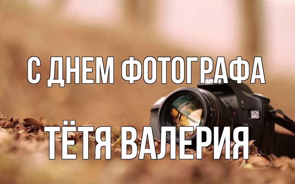 Открытка на каждый день с именем, Тётя-Валерия С днем фотографа с днем фотографа Прикольная открытка с пожеланием онлайн скачать бесплатно 