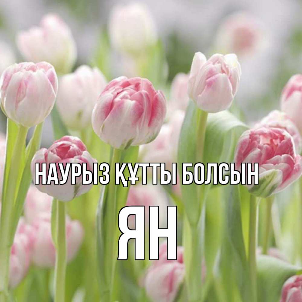 Открытка на каждый день с именем, Ян Наурыз құтты болсын цветы Прикольная открытка с пожеланием онлайн скачать бесплатно 