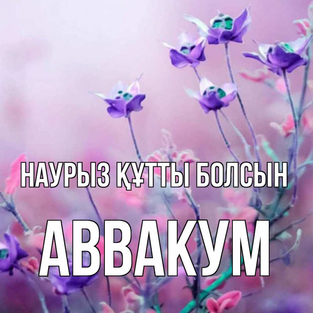 Открытка на каждый день с именем, Аввакум Наурыз құтты болсын наурыз  2 Прикольная открытка с пожеланием онлайн скачать бесплатно 