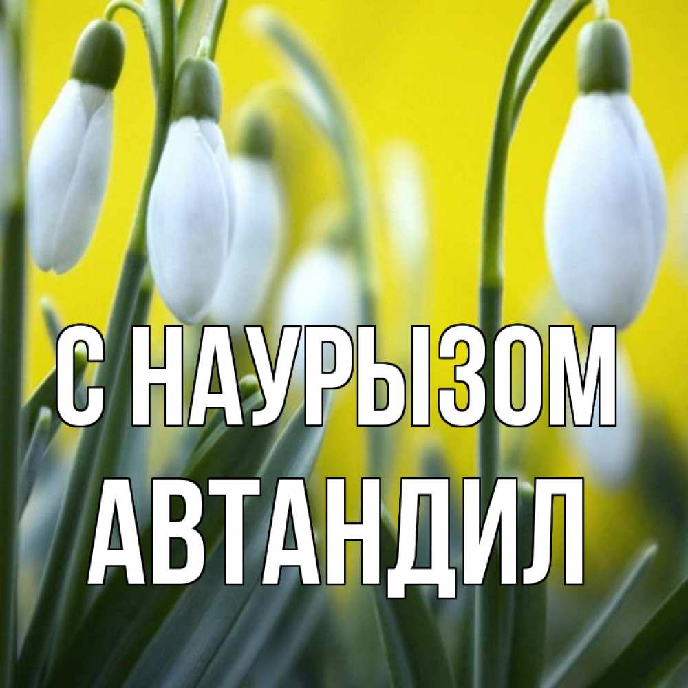 Открытка на каждый день с именем, Автандил С наурызом весенние цветы Прикольная открытка с пожеланием онлайн скачать бесплатно 