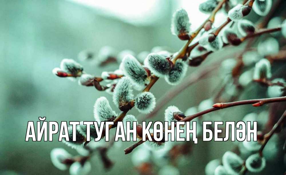 Открытка на каждый день с именем, Айрат-туган-көнең-белән Главная верба Прикольная открытка с пожеланием онлайн скачать бесплатно 