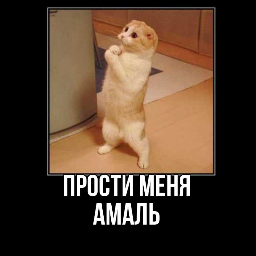 Открытка на каждый день с именем, Амаль Прости меня открытка с милым несчастным котиком просящим прощения Прикольная открытка с пожеланием онлайн скачать бесплатно 