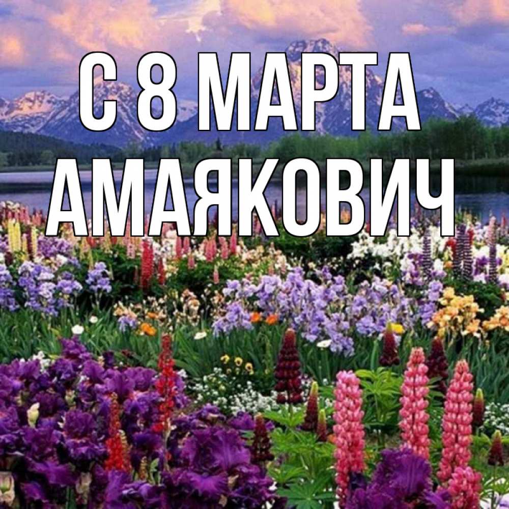 Открытка на каждый день с именем, Амаякович С 8 марта международный женский день Прикольная открытка с пожеланием онлайн скачать бесплатно 