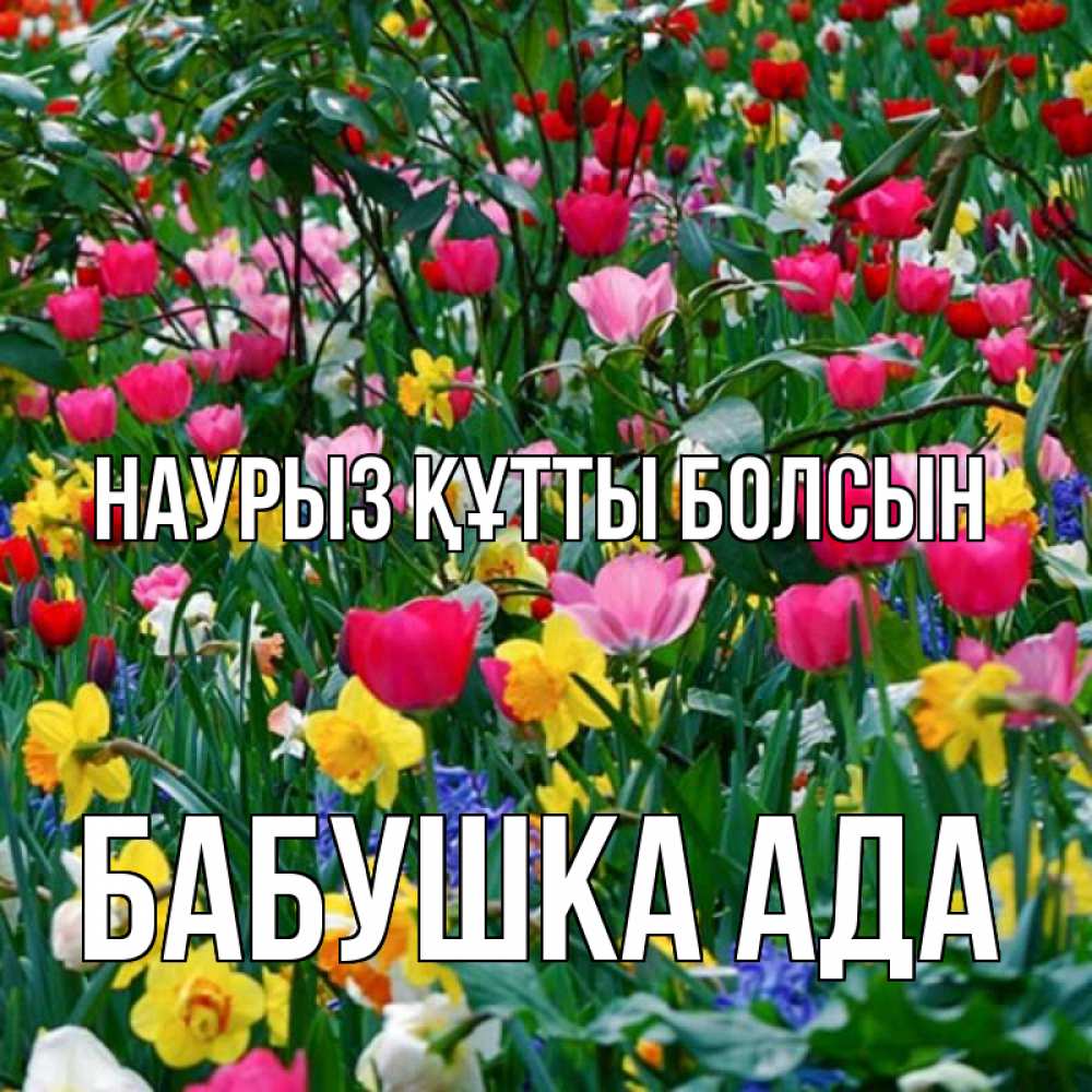Открытка на каждый день с именем, Бабушка-Ада Наурыз құтты болсын с наурызом поздравления для женщины Прикольная открытка с пожеланием онлайн скачать бесплатно 