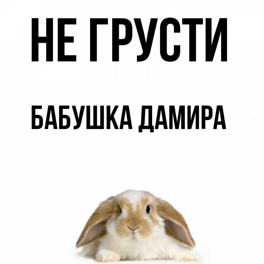 Открытка на каждый день с именем, Бабушка-Дамира Не грусти коричнево белый заяц с большими ушками Прикольная открытка с пожеланием онлайн скачать бесплатно 