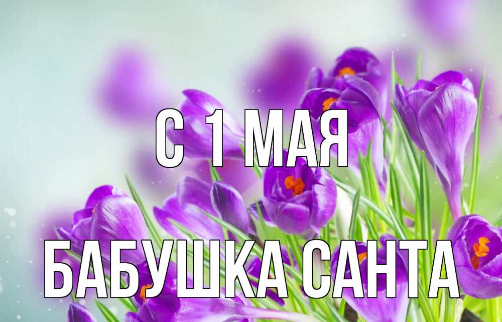 Открытка на каждый день с именем, Бабушка-Санта С 1 мая 1 мая Прикольная открытка с пожеланием онлайн скачать бесплатно 