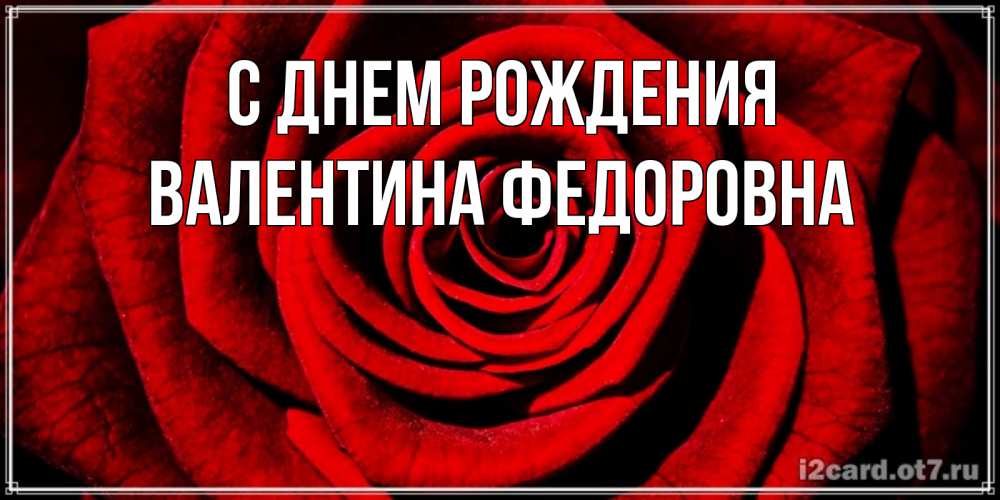 Открытка на каждый день с именем, Валентина-Федоровна С днем рождения алая роза Прикольная открытка с пожеланием онлайн скачать бесплатно 
