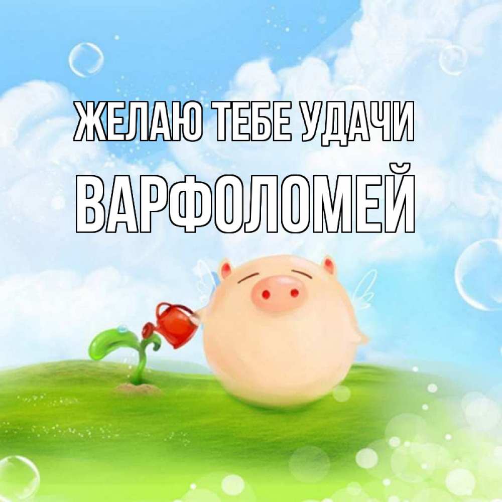 Открытка на каждый день с именем, Варфоломей Желаю тебе удачи поросенок поливает цветок. летнее настроение Прикольная открытка с пожеланием онлайн скачать бесплатно 